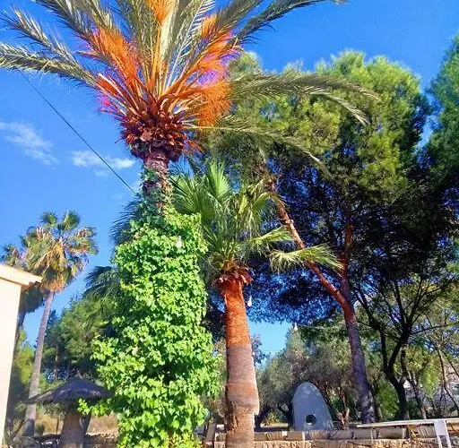 La Gran Duquesa Alicante
