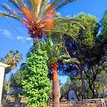 La Gran Duquesa Alicante