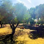 La Gran Duquesa Casa vacanze Alicante