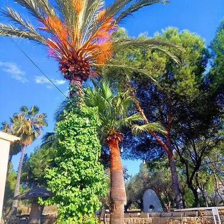 La Gran Duquesa Alicante